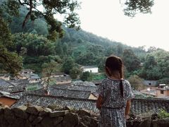 -杨家堂村