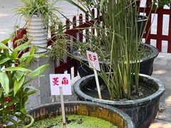 -荔湾湖公园