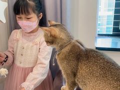 -楼上猫咖(罗湖店)