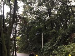 -广州市帽峰山景区