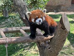 -南京金牛湖风景区