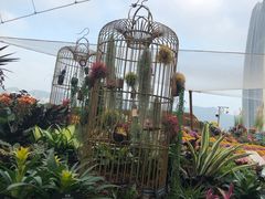 -重庆市江北嘴中央商务区中央公园