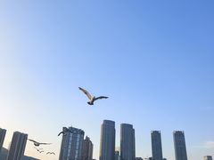-星海广场