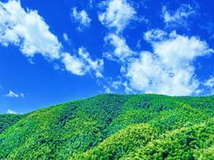 -莫干山风景区