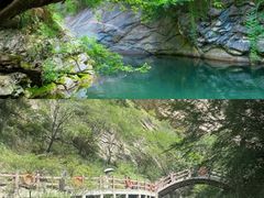 -少华山国家森林公园