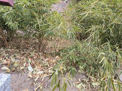 -天津盘山风景名胜区