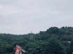 -天下玉苑