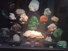 -烟台自然博物馆