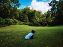 -上海崇明金茂凯悦酒店