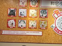 -和它·交个朋友·狗咖猫咖(爱琴海店)