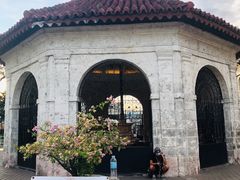 -麦哲伦十字架