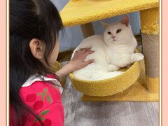 -BABIT巴比特宠物(MOMOPARK店)