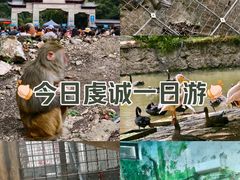 -黔灵山公园