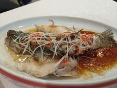 -津悦·正阳春烤鸭(红旗南路店)