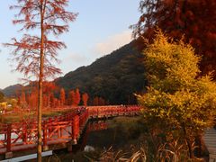 -广州市石门国家森林公园