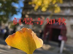 -北京石刻艺术博物馆(五塔寺)