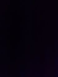 -标婷维生素E乳