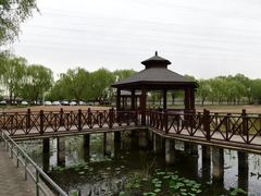 -尚庄度假村·庭台树下·户外烧烤·团建CS·轰趴营地(上庄水库店)