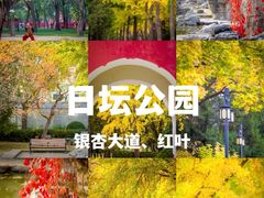 -颐和园