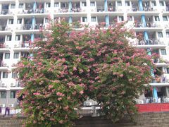 -福建师范大学(仓山校区)