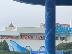 -海合安青岛极地海洋公园