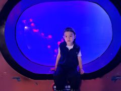 -烟台海昌鲸鲨海洋公园