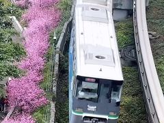 -南山植物园