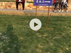 -盘龙城国家考古遗址公园