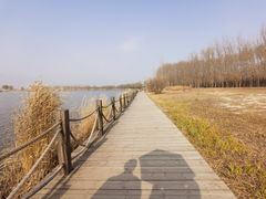 -野鸭湖国家湿地公园