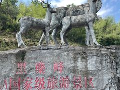 -长沙黑麋峰国家森林公园