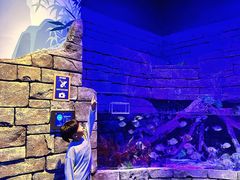 -沈阳海洋探索中心