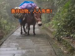 -峨眉山风景名胜区