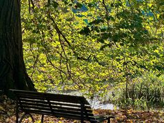 -墨尔本皇家植物园