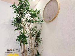 -唯奈斯肌肤管理中心