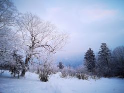 -大秃顶子山
