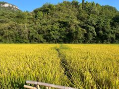 -贵阳市花溪国家城市湿地公园