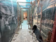 -北京动物园-畅观楼