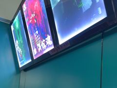 -荒岛实景沉浸密室(江汉路1店)