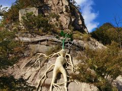 -丹东天桥沟景区