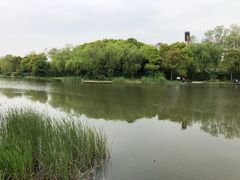 -新江湾城公园