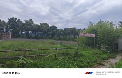 -DORA kids 朵拉儿童摄影花园店