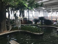 -太白山御龙湾温泉