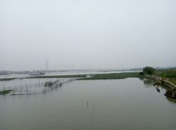 -水八仙生态园