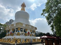 -护国法轮寺