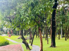 -深圳国际园林花卉博览园