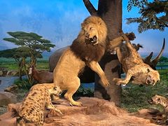 -国家自然博物馆