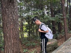 -铁山坪森林公园