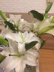 -FineYoga梵音瑜伽·普拉提