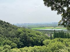 -宁波市保国寺古建筑博物馆