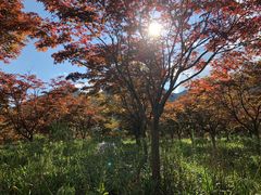 -云漫湖生态度假公园